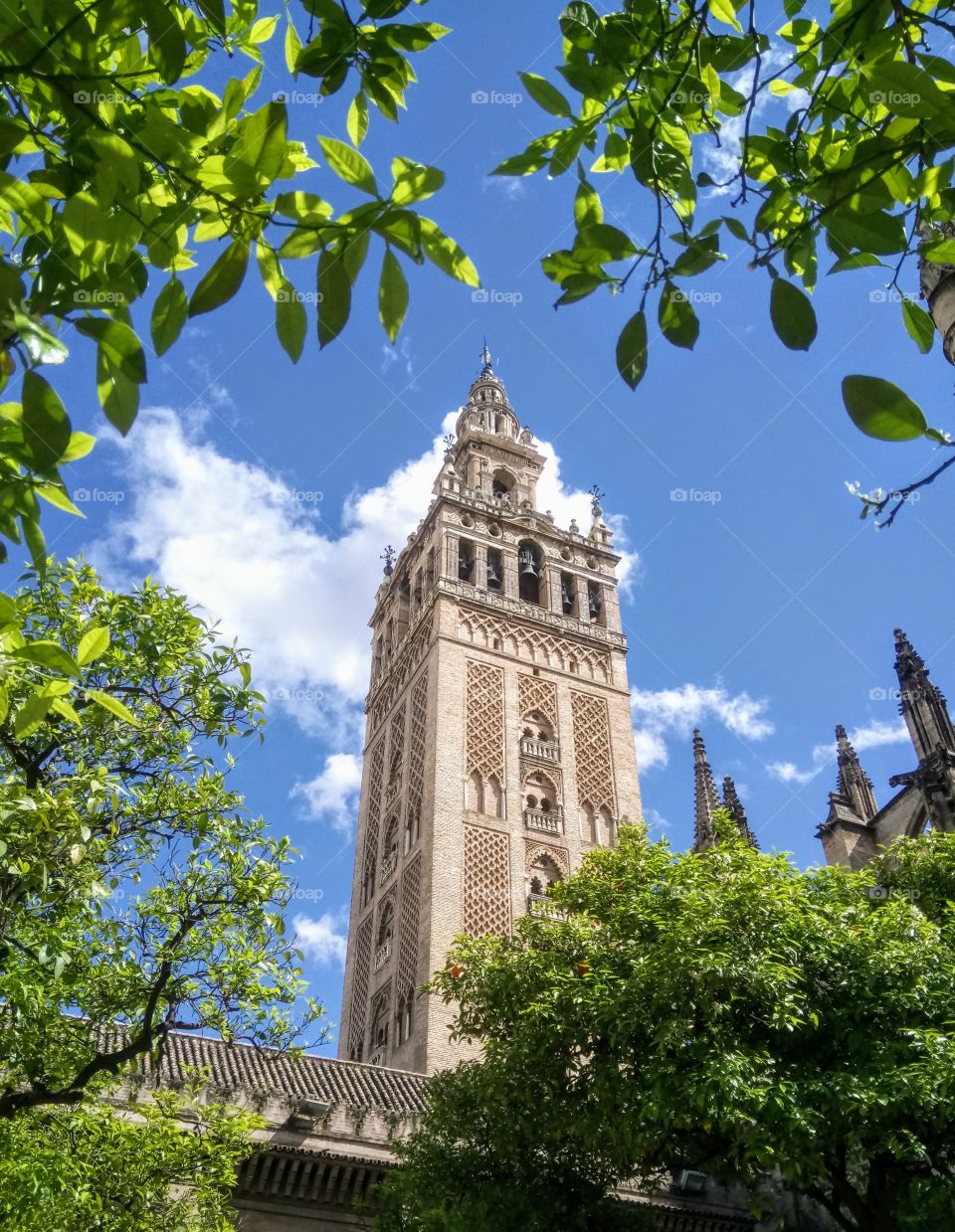 La giralda Seville Spain 