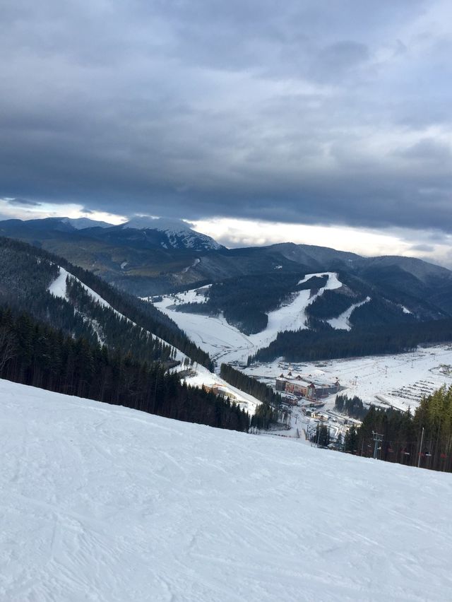Winter wonderland 