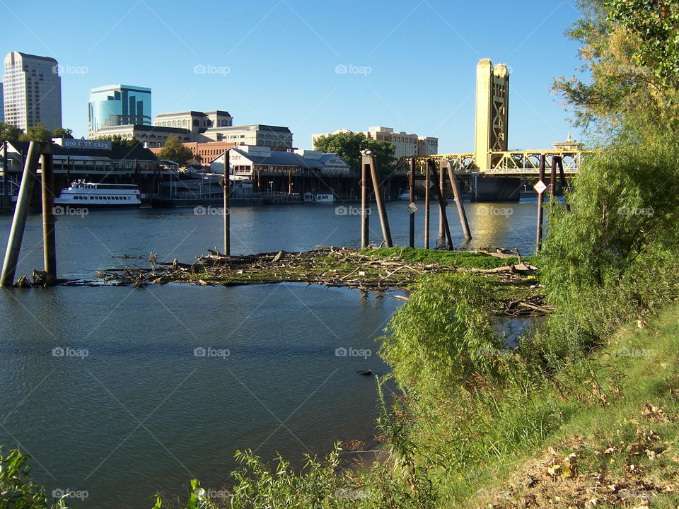Old Sac driftwood. Early morning bike ride Riverwalk