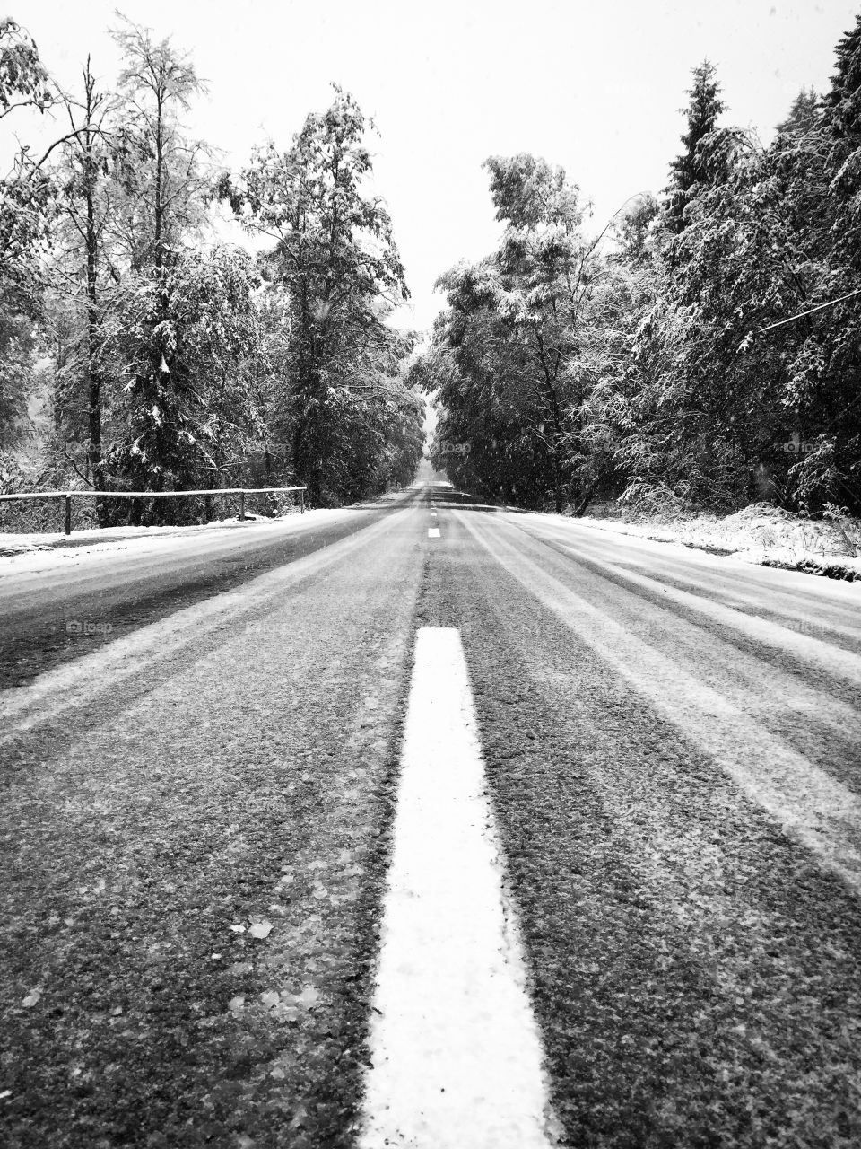 Monochrome winter road