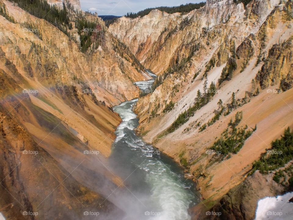 Yellowstone