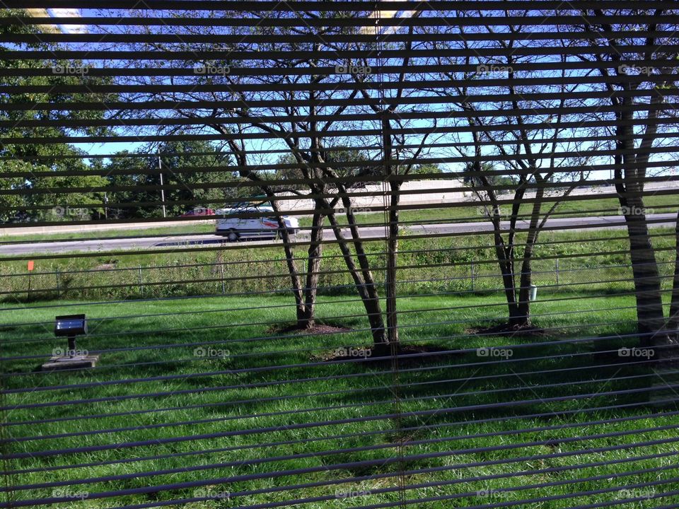 View from inside office building