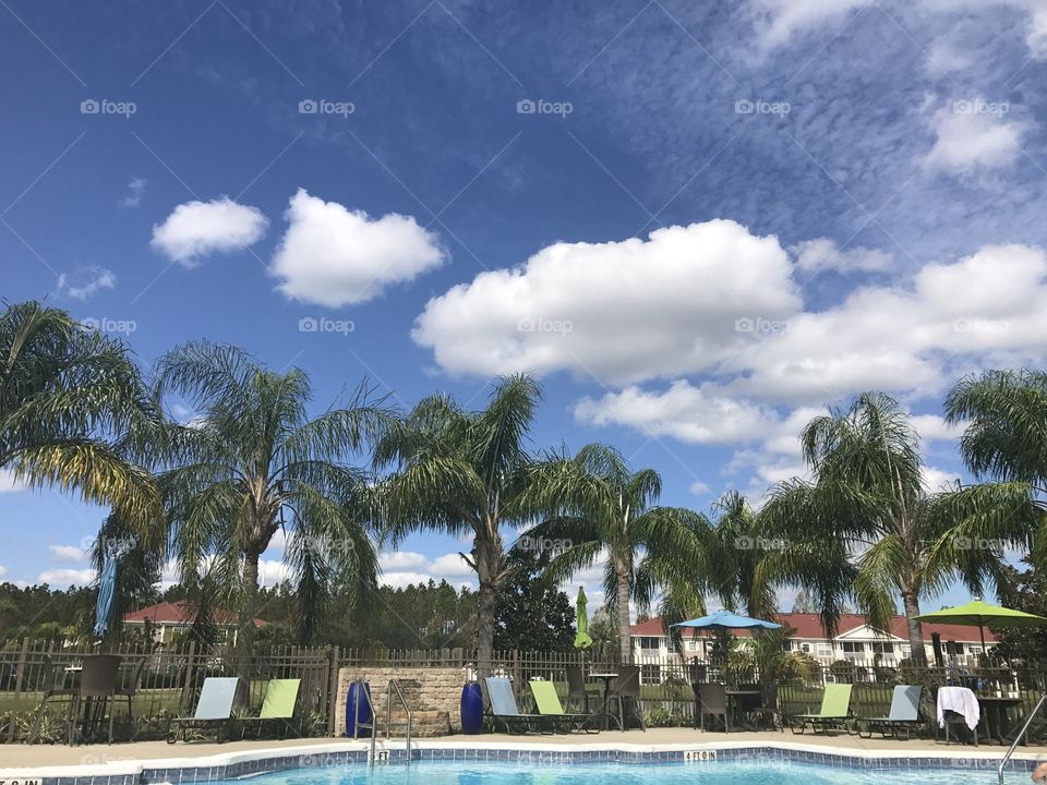 Florida Skies 