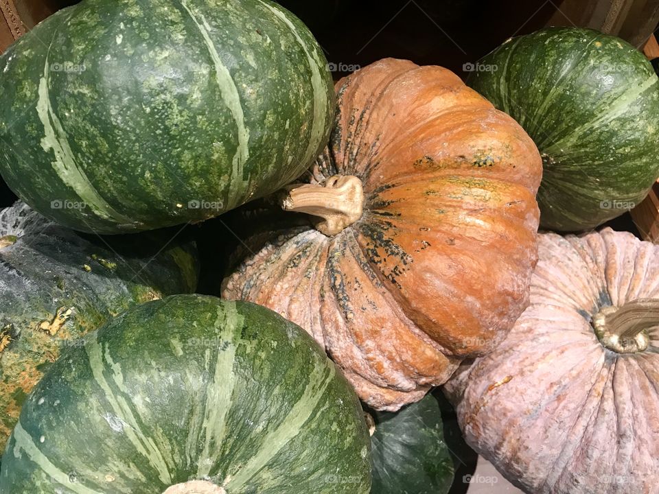Pumpkin in supermarket for sale 