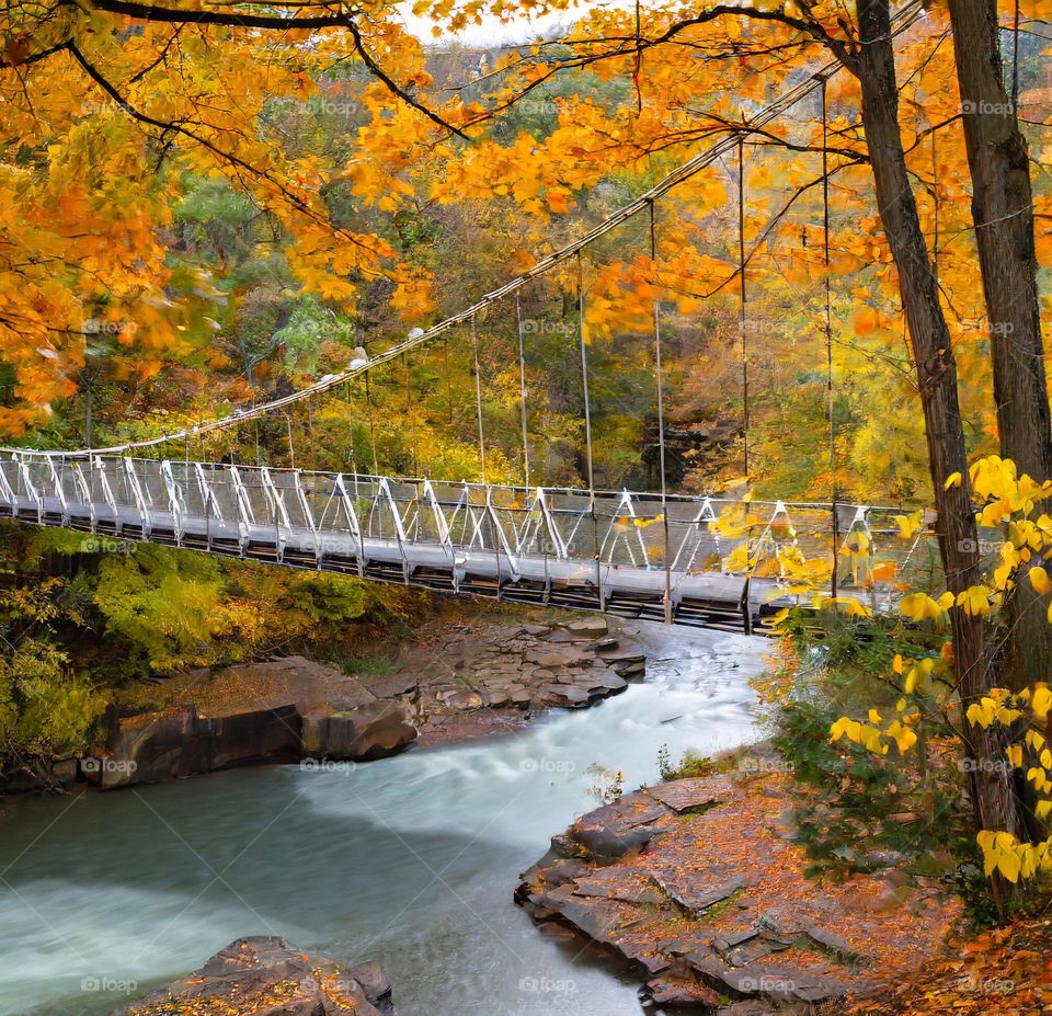 Puentes Colgantes de Río Maullín