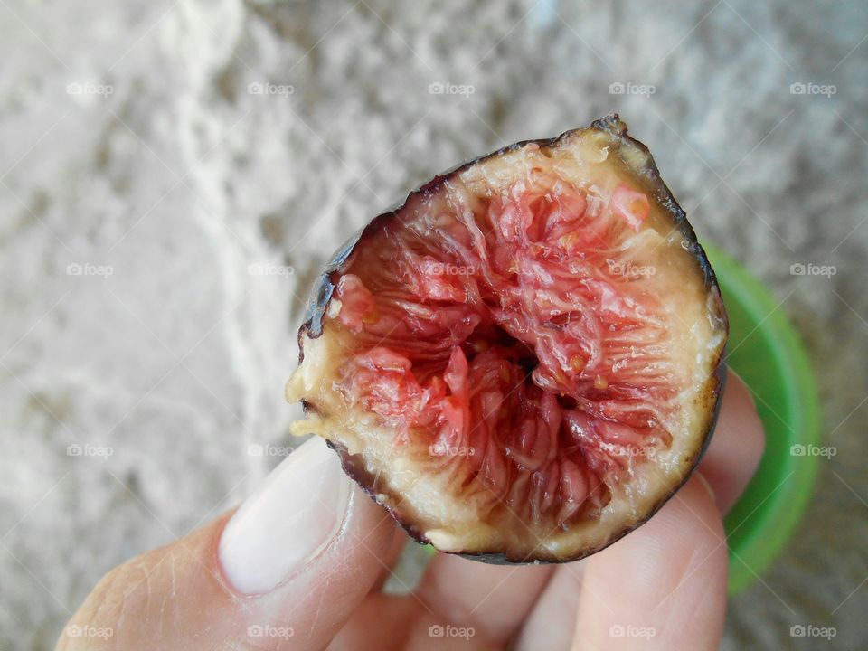 Hand holding fresh fig