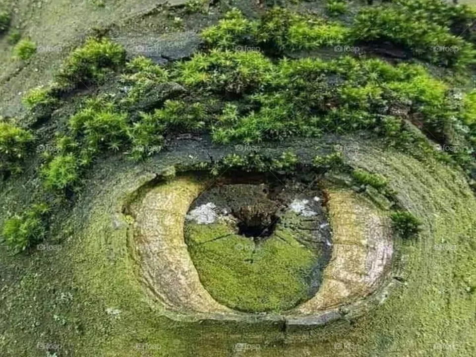 Natural photo.
