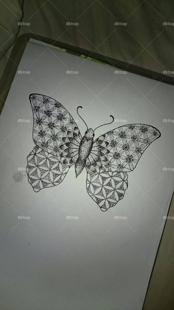 Geometric butterfly 