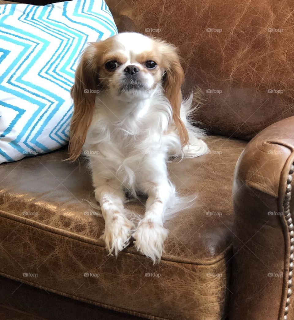 Sophia loves to pose for pictures!