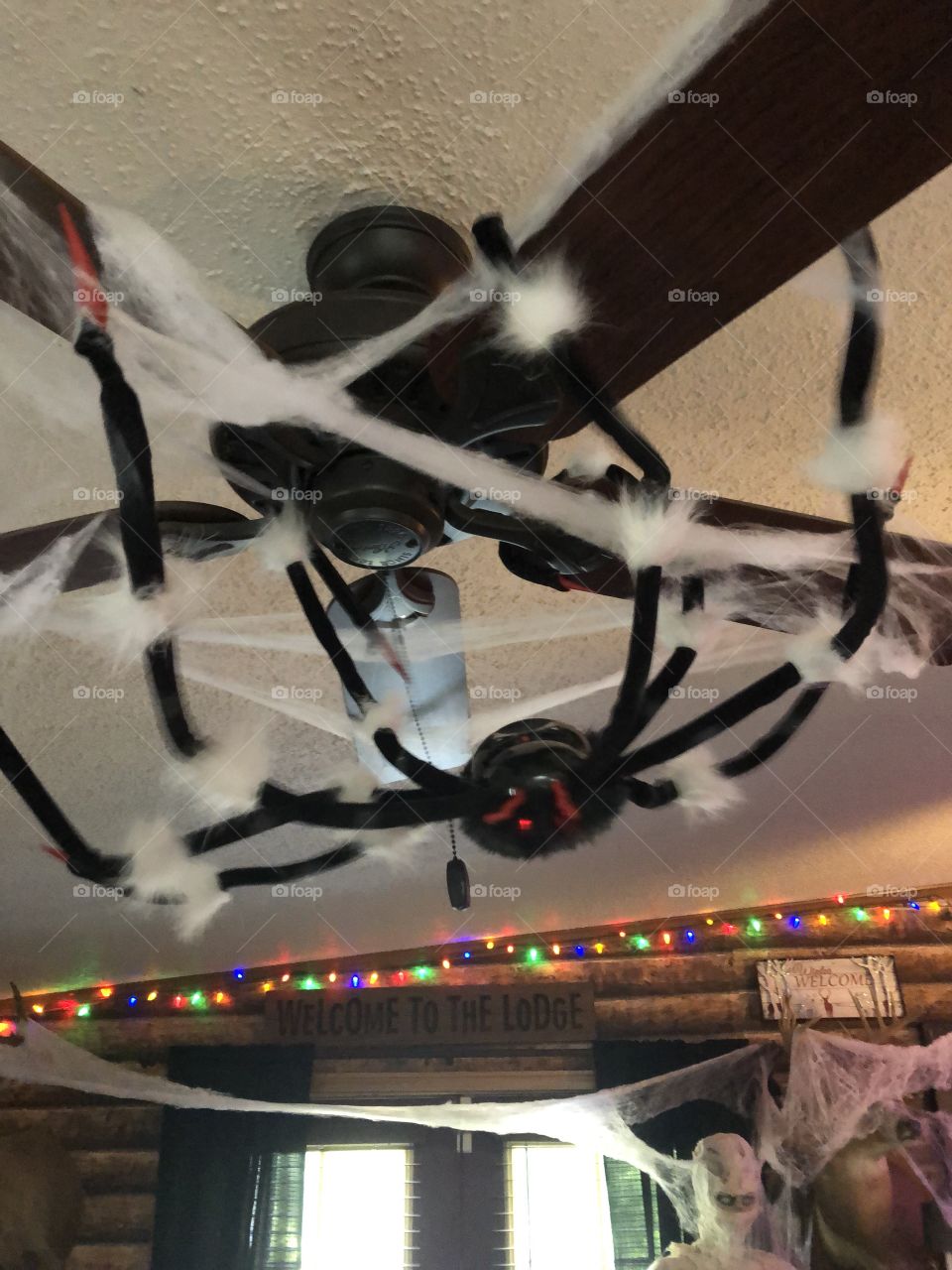 Spider web decorations 