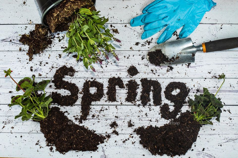 Spring planting