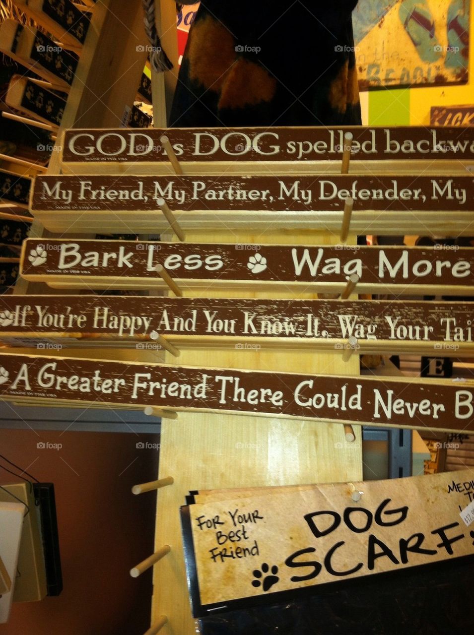 Dog quotes