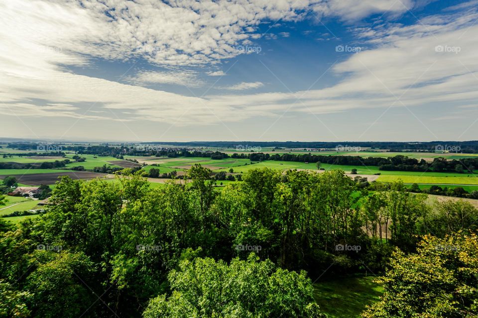 forests in the fields everything is green against the sky