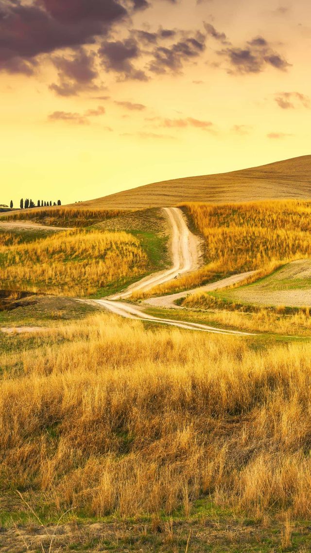 Grain land