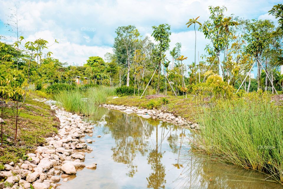 Nice scenery in the park