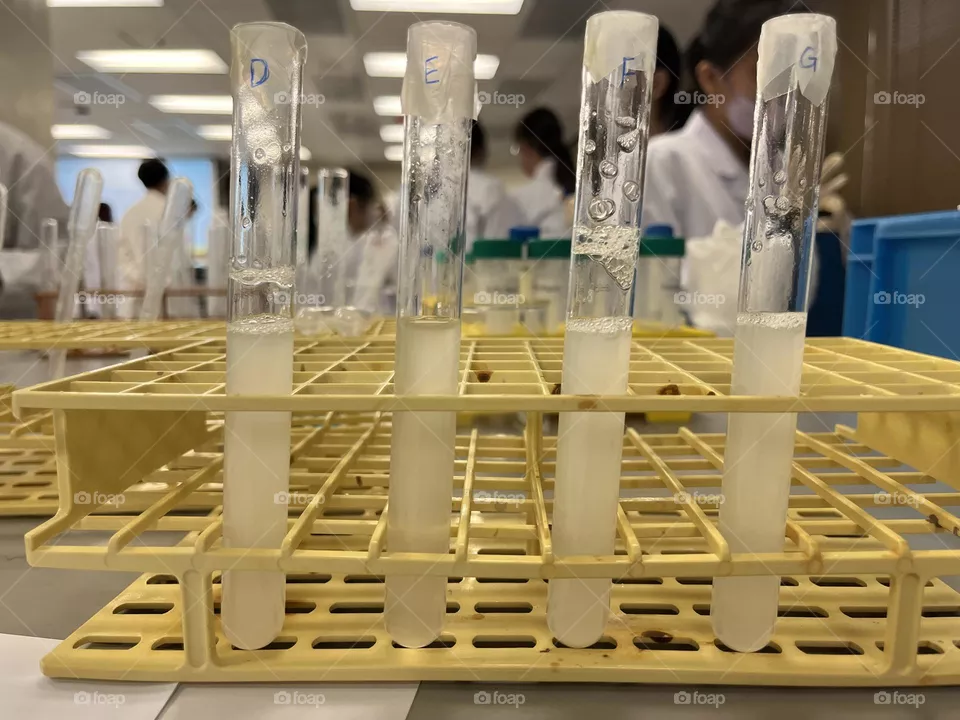 Laboratory 