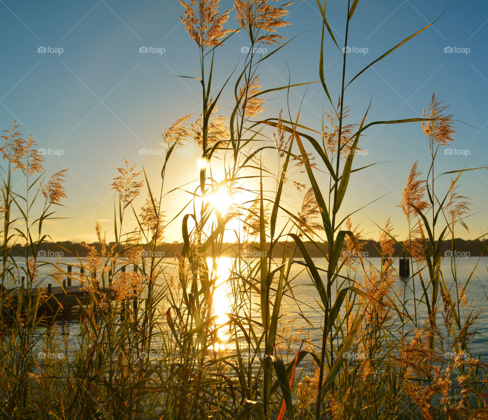 Sunlight reflecting on lake