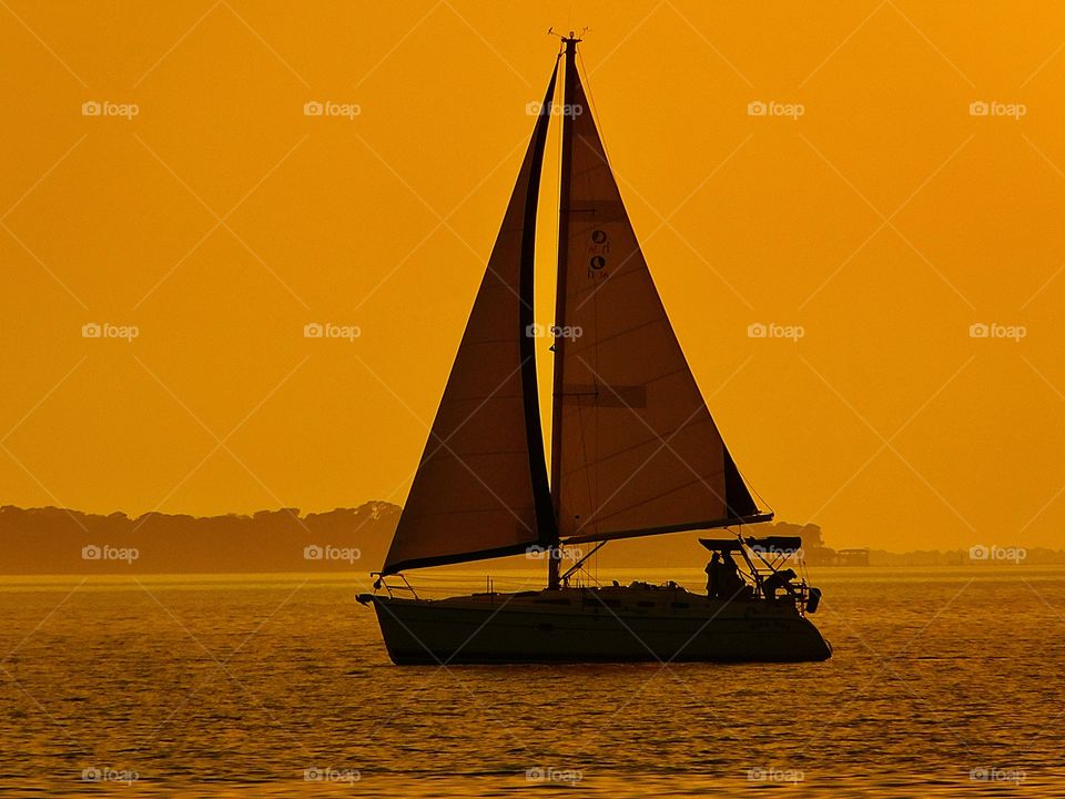 Sailing in the sunset 