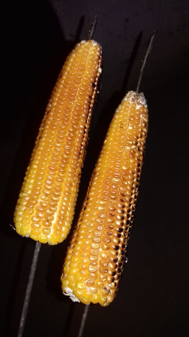 Milho assado