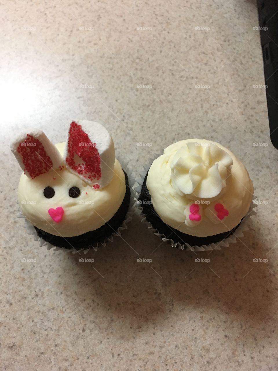 Bunny cupcakes 