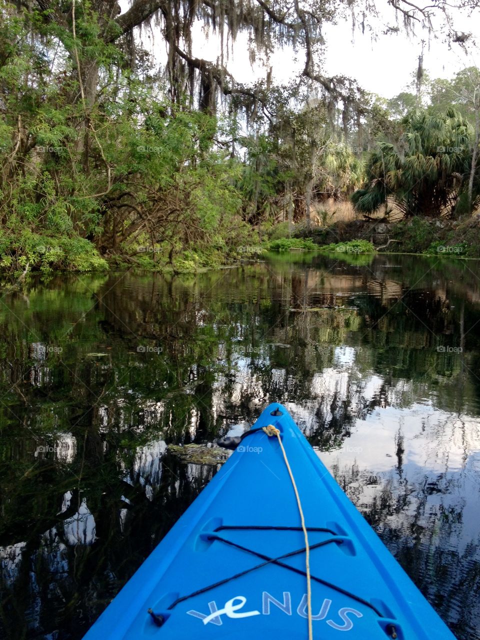 Beauty around the bend