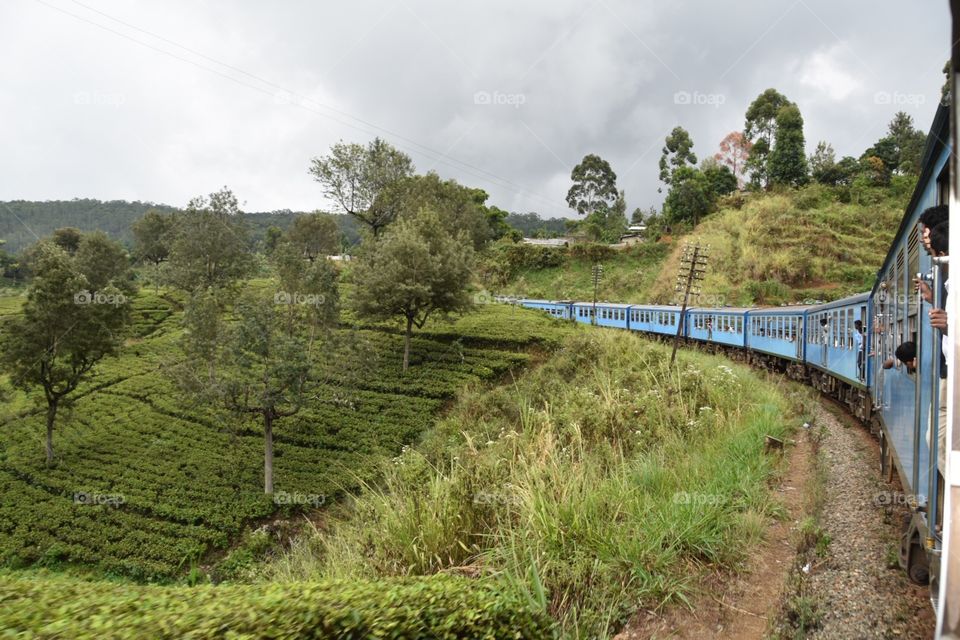 Train ride