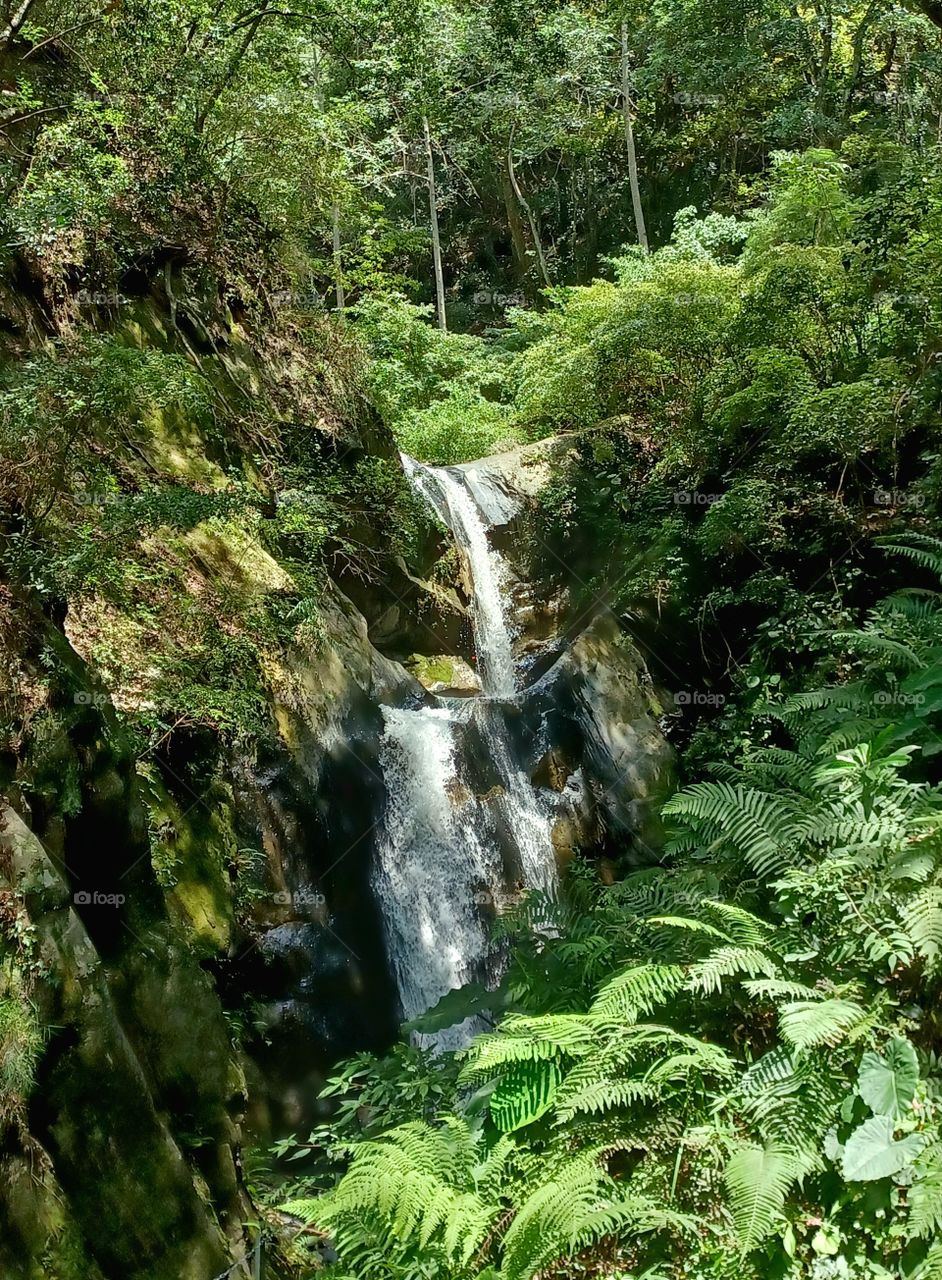Two waterfalls hidden in the forest.