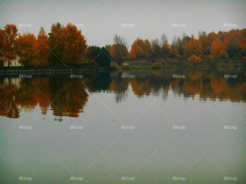 Reflection, Lake, Water, River, Dawn