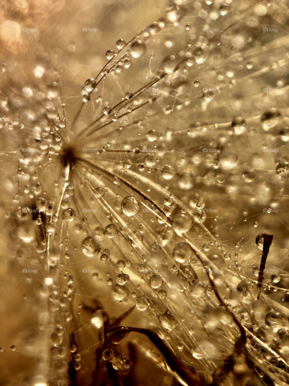 Drops macro 