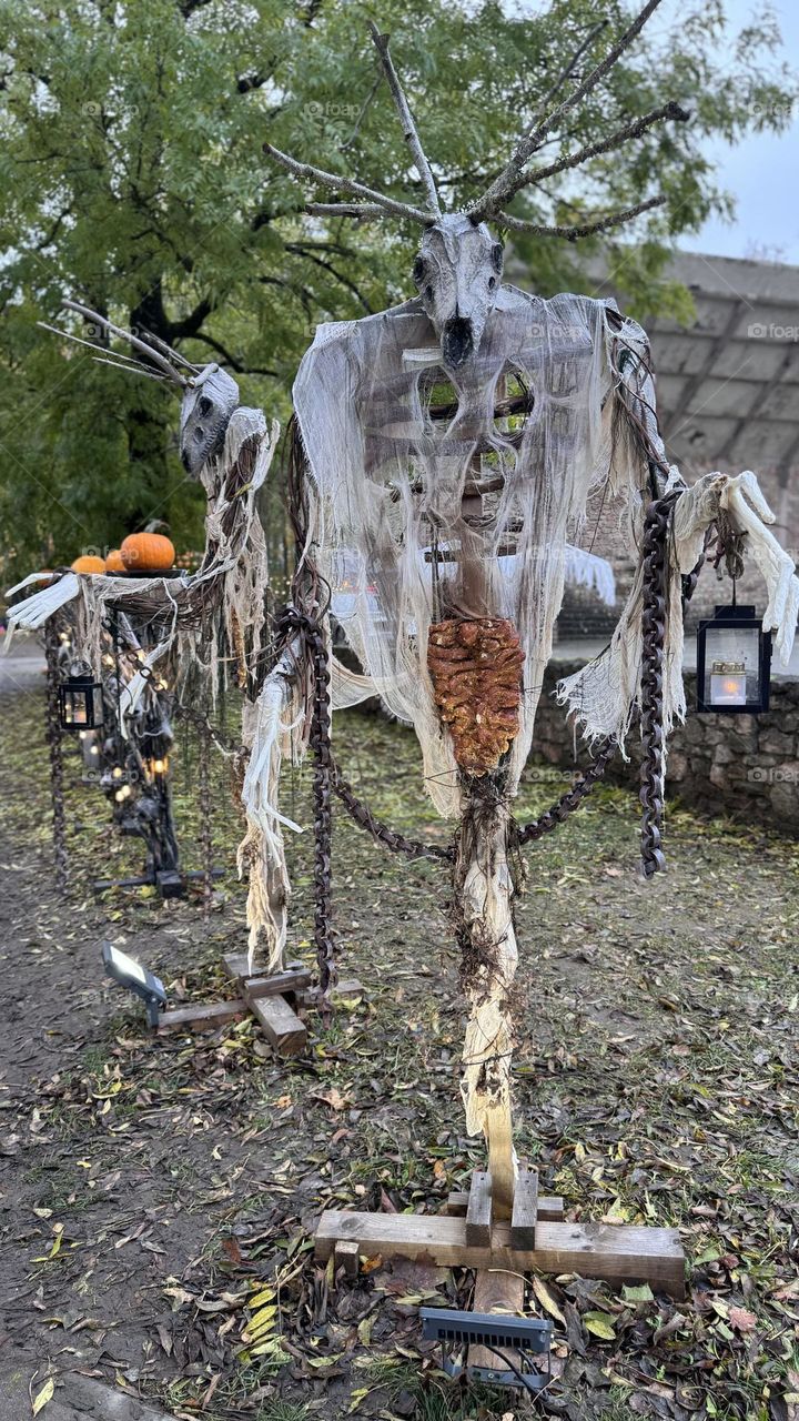 Spooky Halloween decorations 