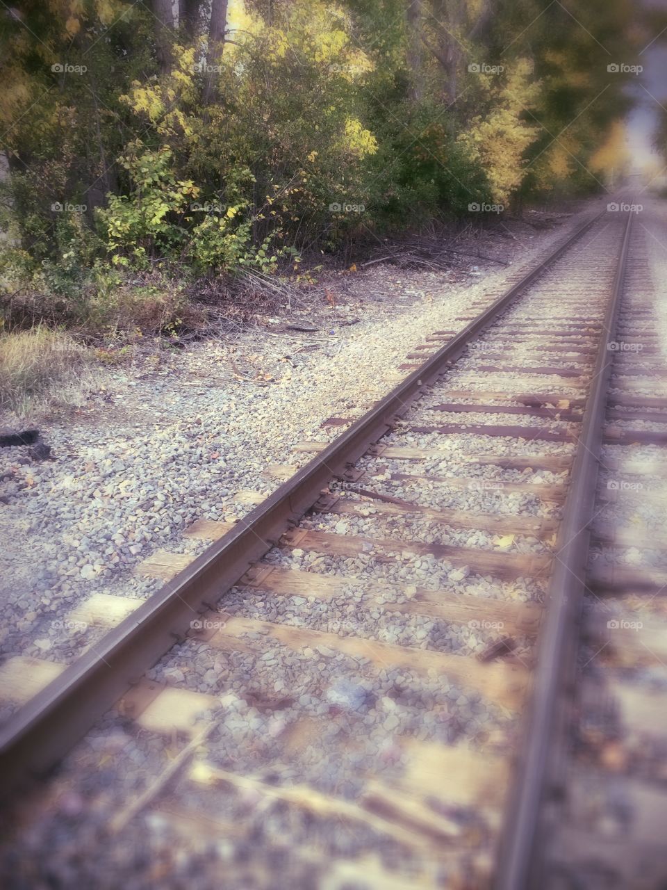 Tracks out of town