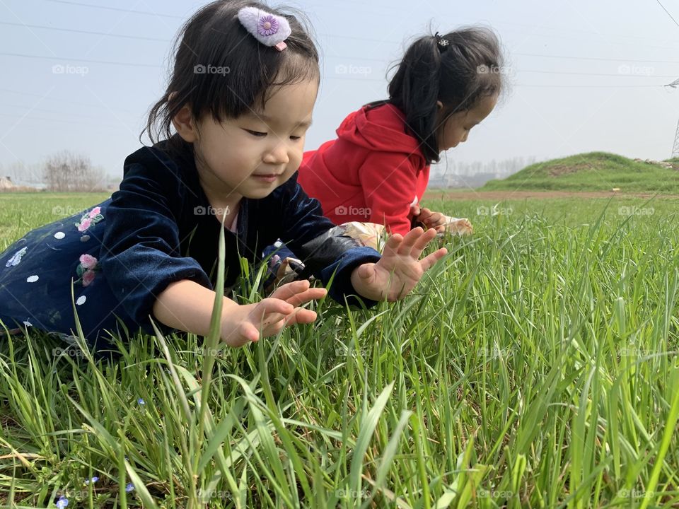 Searching for something 