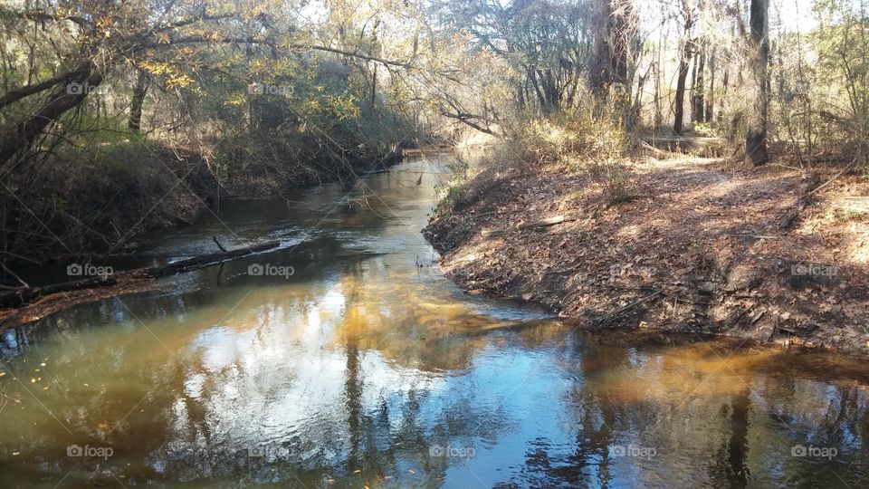 Water ways though nature 