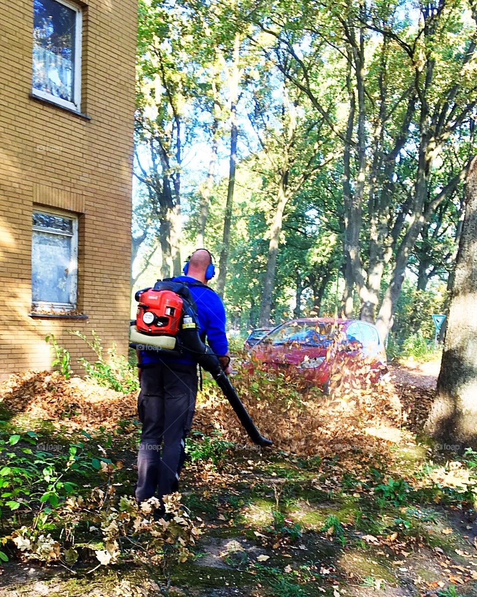 A man with a special device blows fallen leaves from a lawn. Autumn work