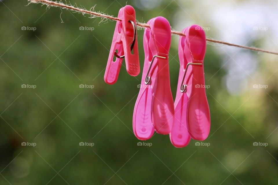 Pink clothespins on the rope 