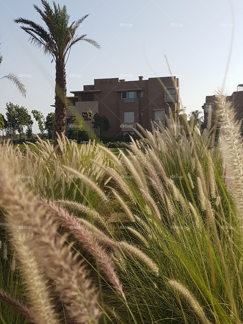home sweet home green luxury Marrakech morocco summer 17 2017