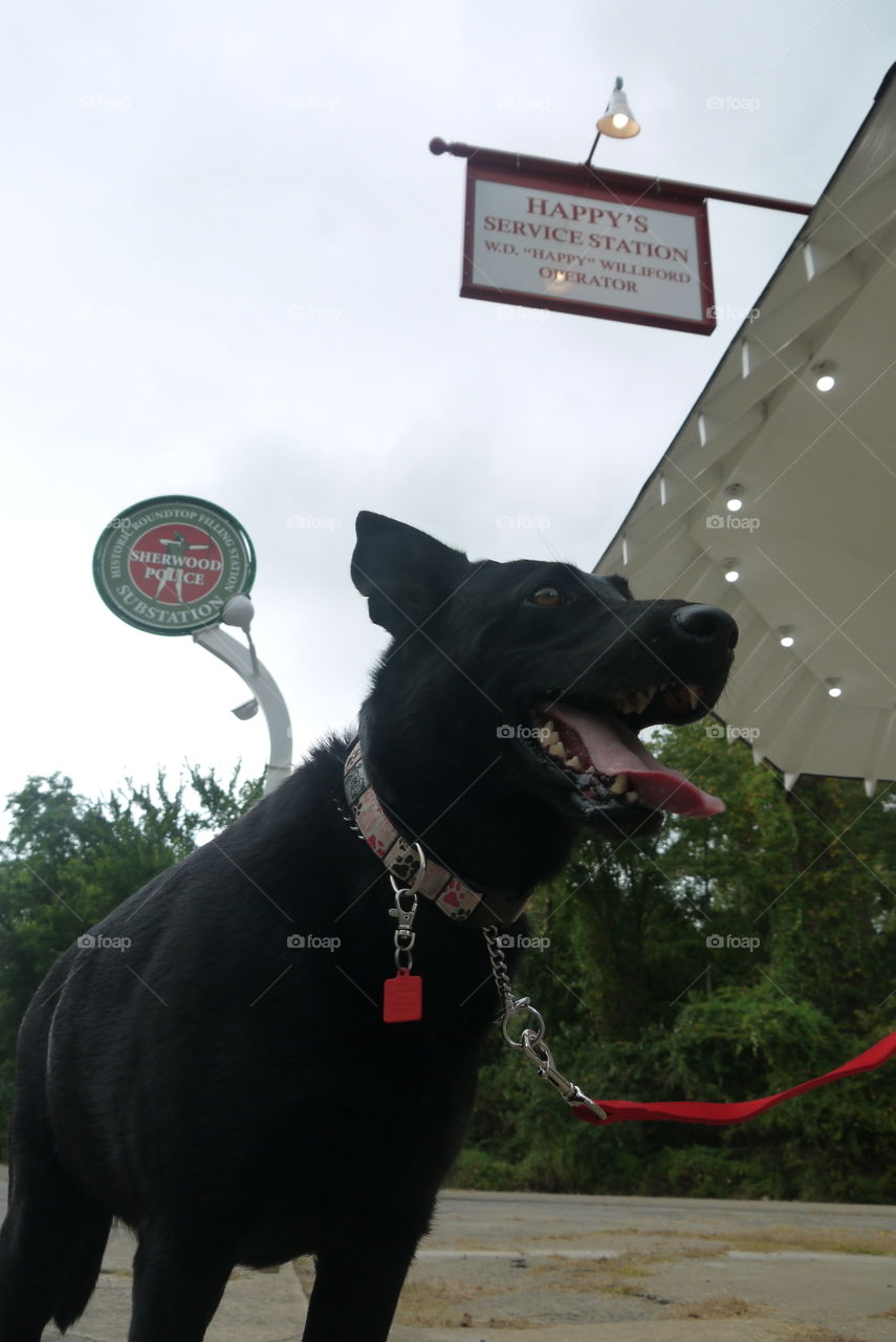 Leesa at Roundtop Filling Stat. Historical Roundtop Filling Station in Sherwood, Arkansas