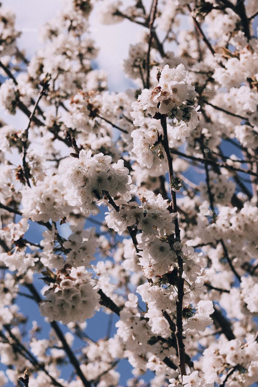 Dare to be different.  Each color in this photo will be experienced differently by each of us.  How beautiful life is.  Is it?