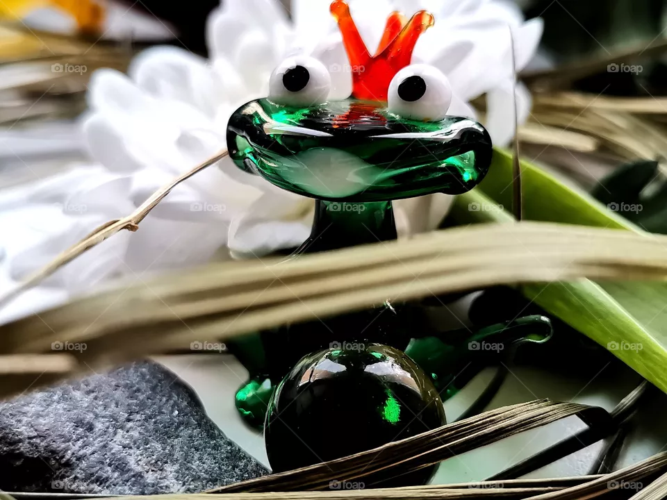 Queen of frog