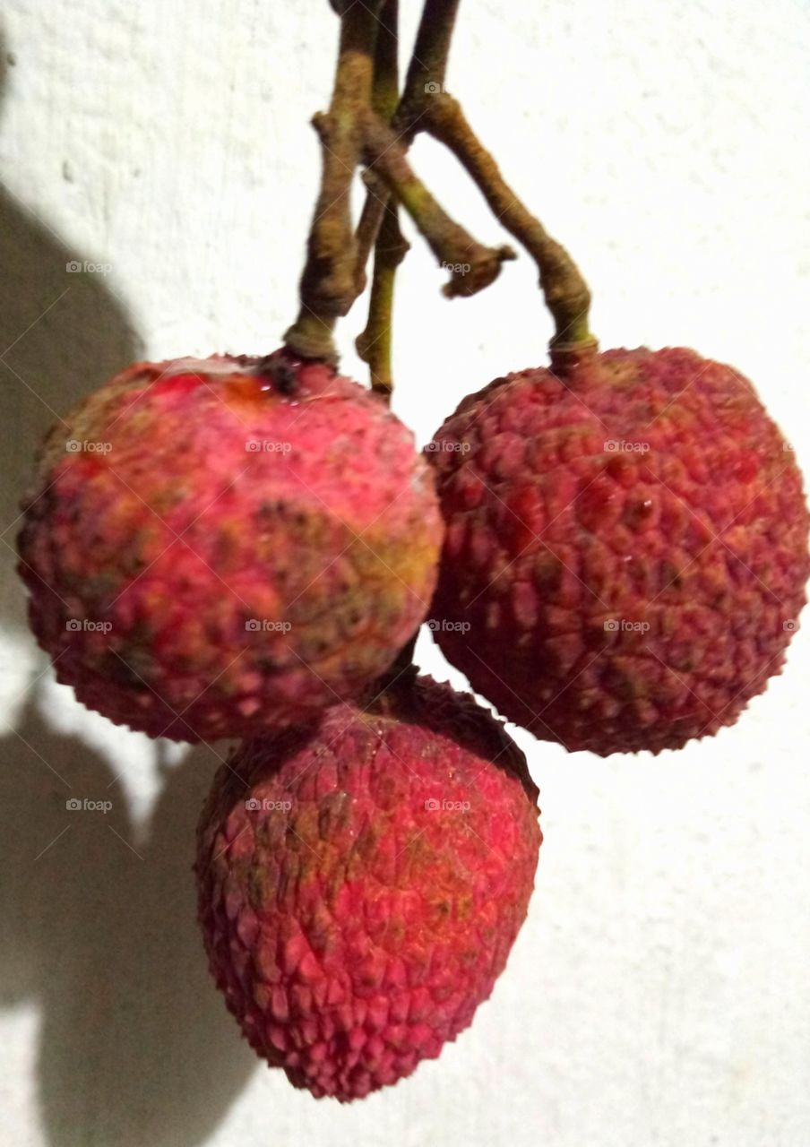 litchi