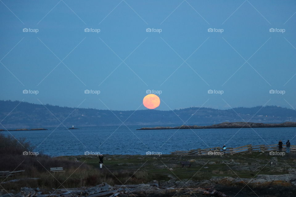A big orange rolling on top of the hill ? That’s a winter full  moon , super moon rising over the horizon spreading joy in the eyes of the spectators