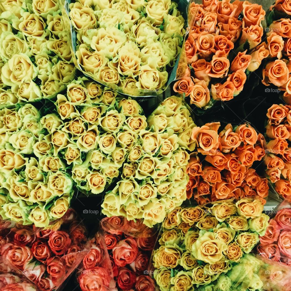 Close-up of bouquets