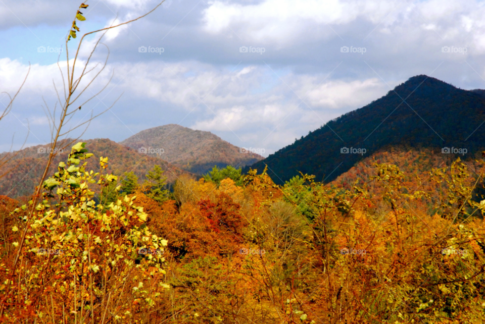 mountain autumn by refocusphoto