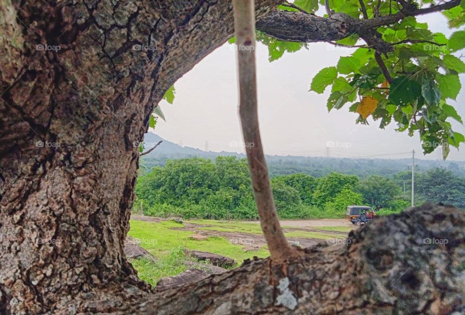 long sight scenery images from top of the earth