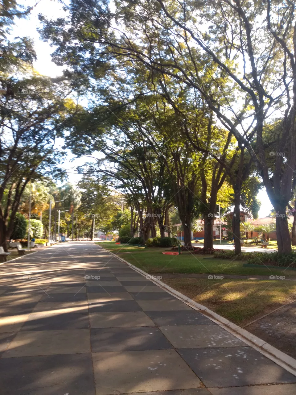 bem vindo foap natureza