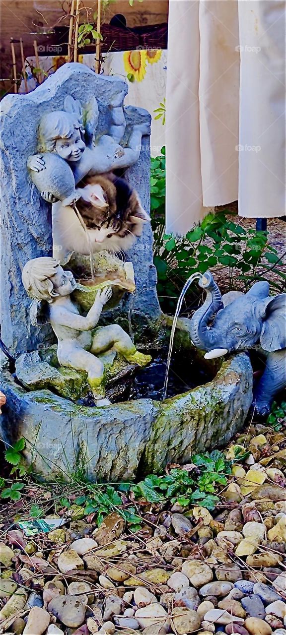 This toy for “Linda”, the cat in “Bavaria”, Germany is really nice. It’s a small fountain with an angel and an elephant sculpture, running water in two places and a hole for her to put her head through to get at things. 2024. Hypnotic Productions