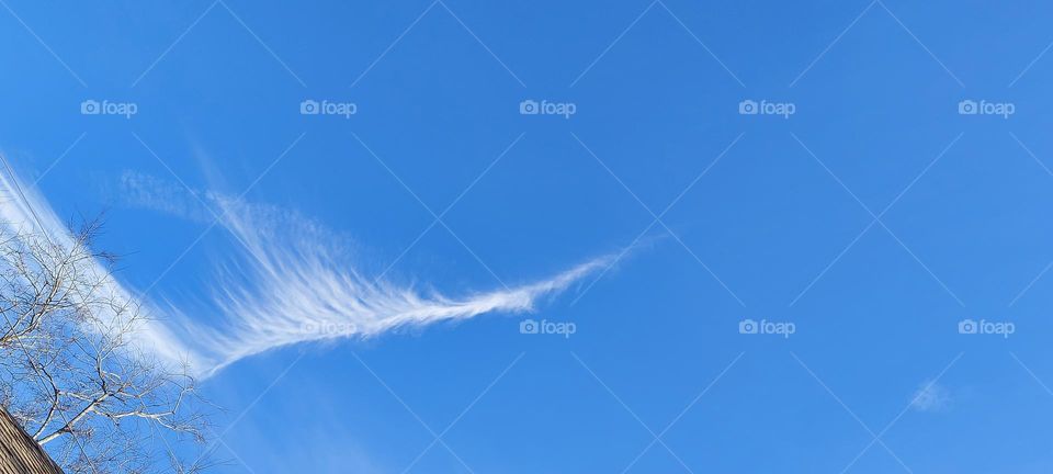 A Whispy,Feather Cloud
