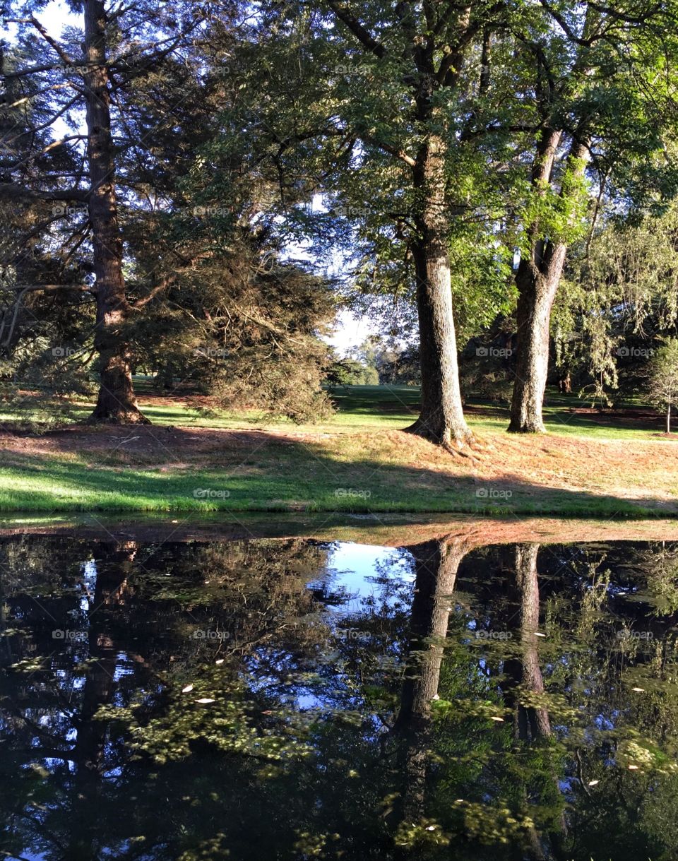 Reflections . Longwood gardens in Philadelphia 