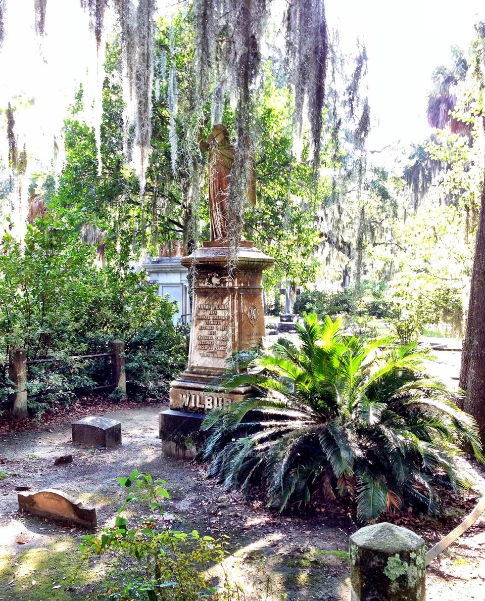 statue stone monument savannah by cable