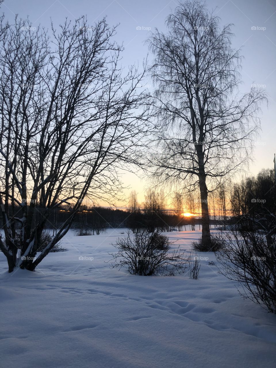 Sun’s rising, polar winter morning